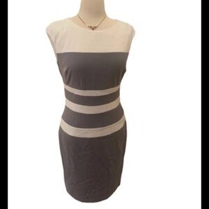 LAUREN RALPH LAUREN LRL Sleeveless Sheath Dress Size 10 Gray White Striped Lined